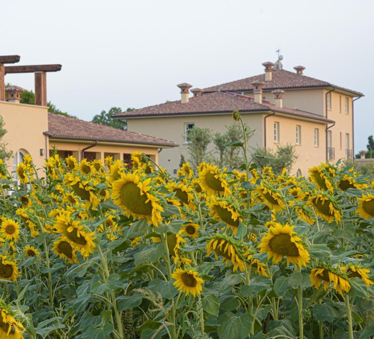 Agriturismo Villa Toscana Campiglia Marittima Εξωτερικό φωτογραφία