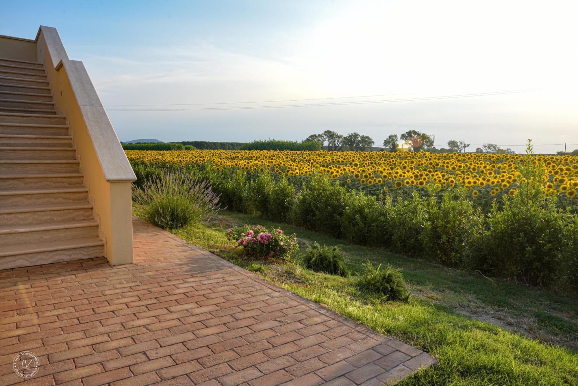 Agriturismo Villa Toscana Campiglia Marittima Εξωτερικό φωτογραφία